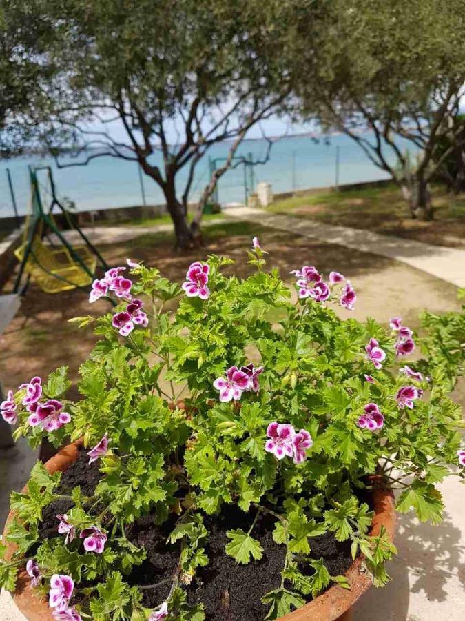 Beachfront Skoblar Holiday Home With Seaview 프리블라카 외부 사진